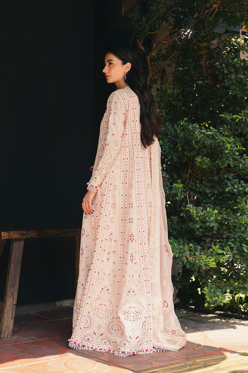 Blush Pink Embroidered Kalidaar Luxury Ensemble