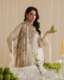 Farshi Luxury 2-Piece Ladies Suit